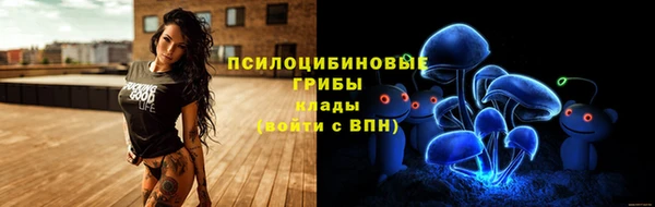 шишки Михайловск