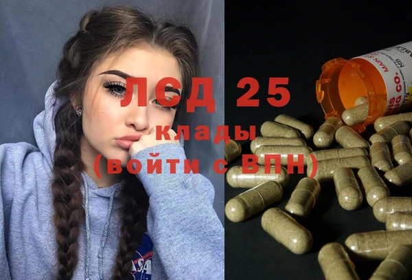 шишки Михайловск