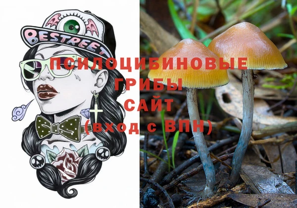 шишки Михайловск