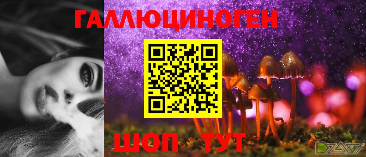 Псилоцибиновые грибы мухоморы  Псилоцибиновые грибы Psilocybe  Вход с VPN  Черняховск 