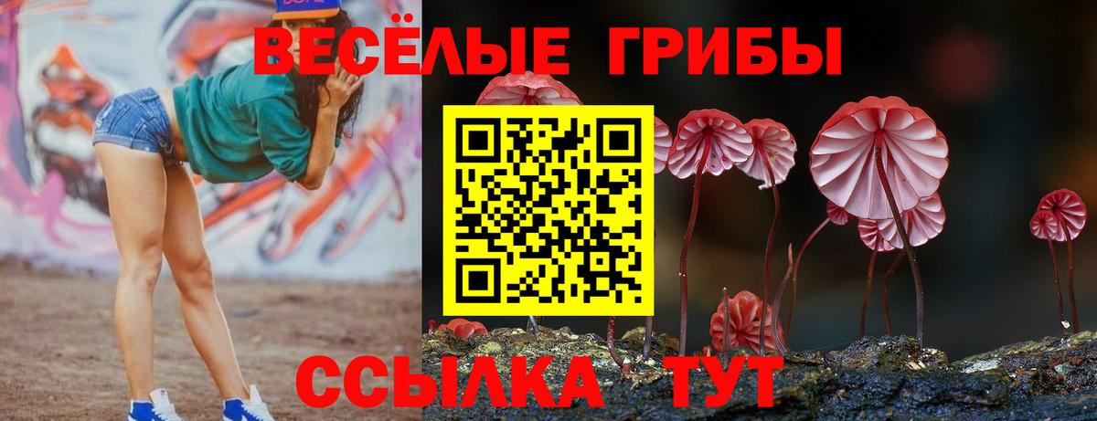 Псилоцибиновые грибы прущие грибы Черняховск