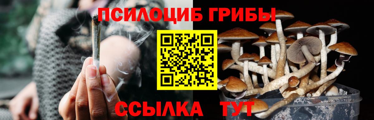 Псилоцибиновые грибы MAGIC MUSHROOMS Черняховск