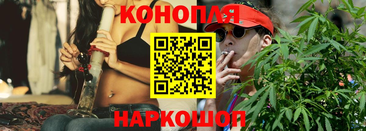 Конопля индика Черняховск